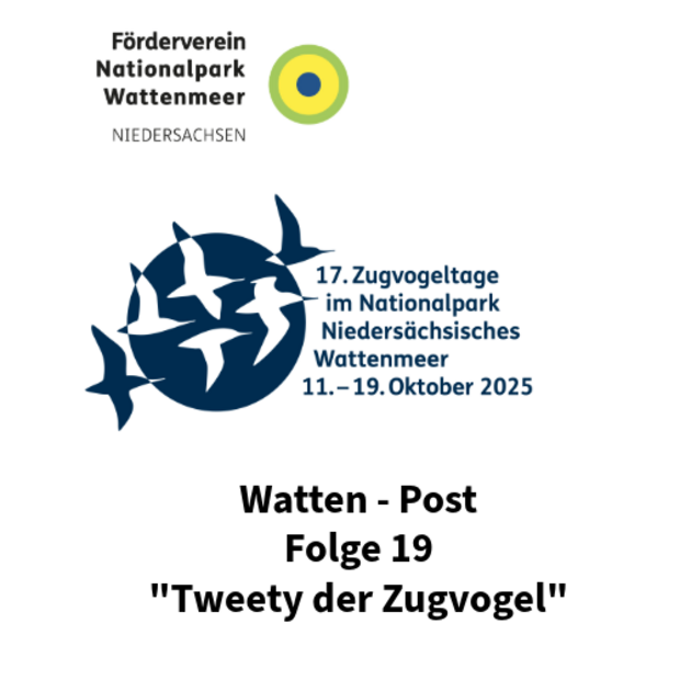 Logo des Fördervereins Nationalpark Wattenmeer und Logo der 17. Zugvogeltage, sowie der Titel der Folge von Watten - Post, "Tweety der Zugvogel"